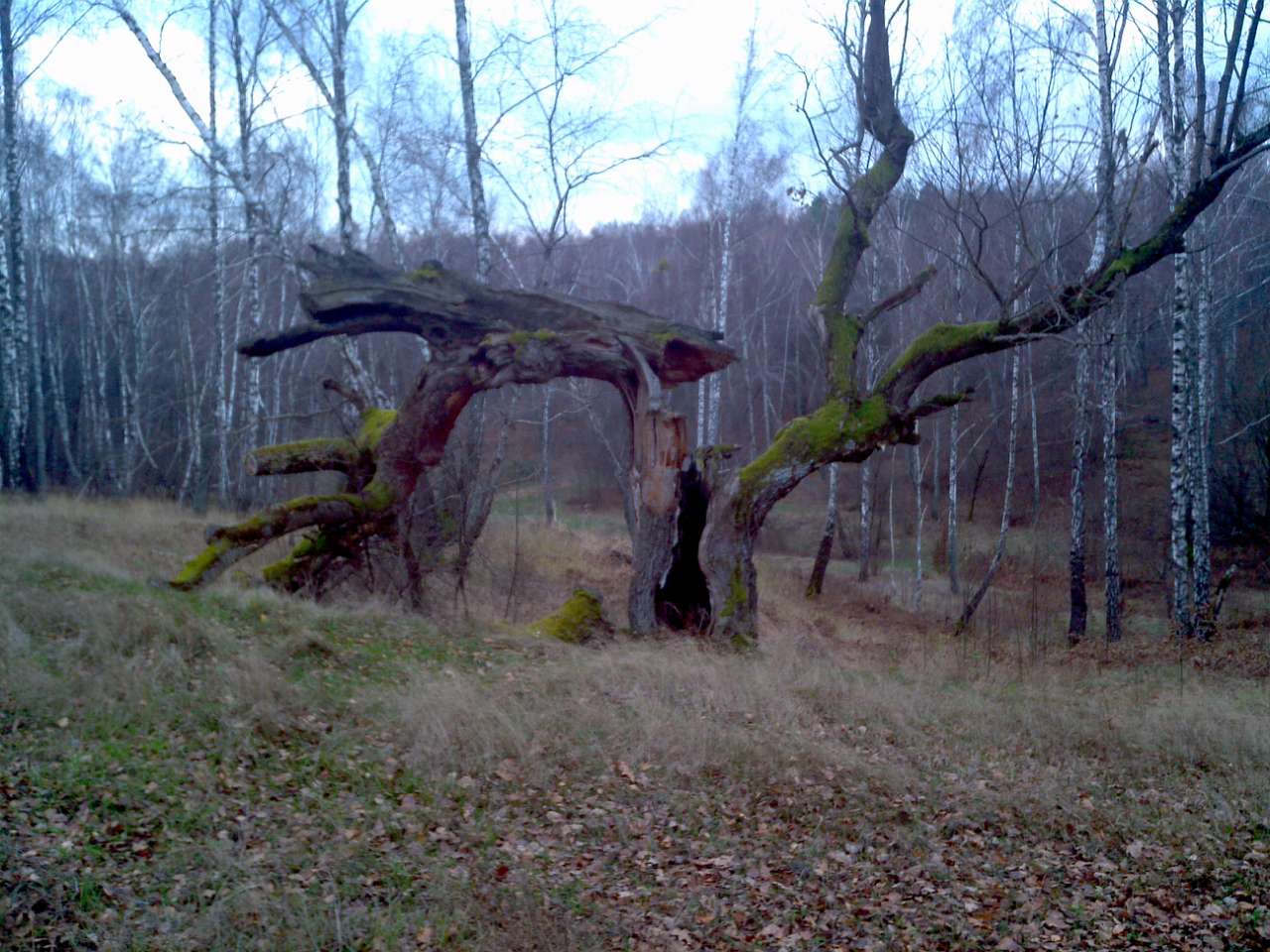 Городище - Городец