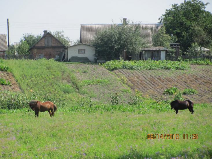 Суськ з panoramio.com - Суськ