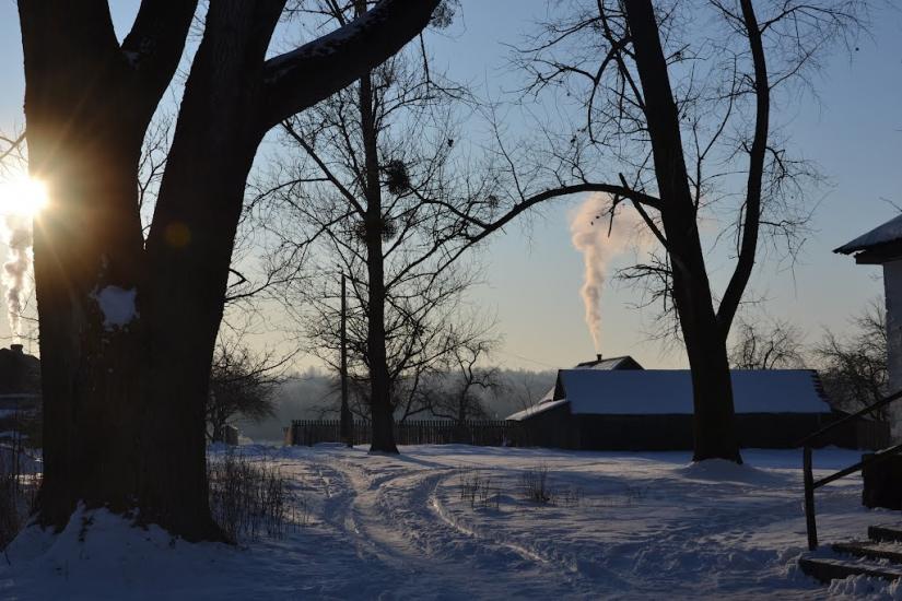 Вільха з panoramio.com - Вільха
