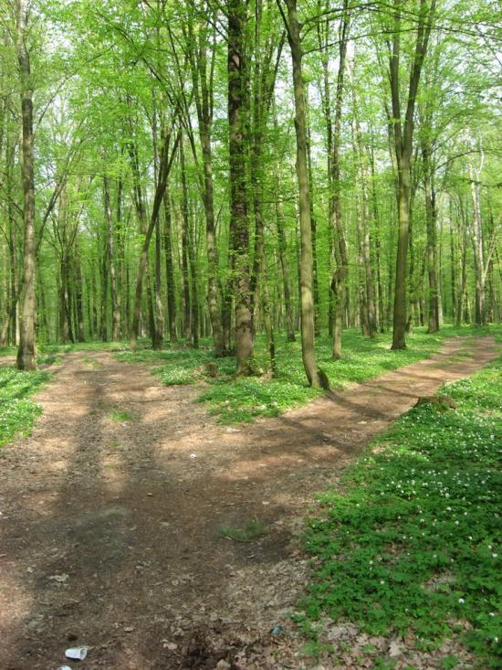 Костопіль з panoramio.com - Костополь