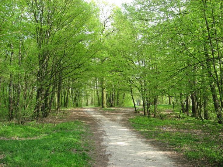 Костопіль з panoramio.com - Костополь