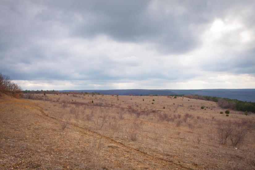 Верхньосадове з panoramio.com - Верхньосадове