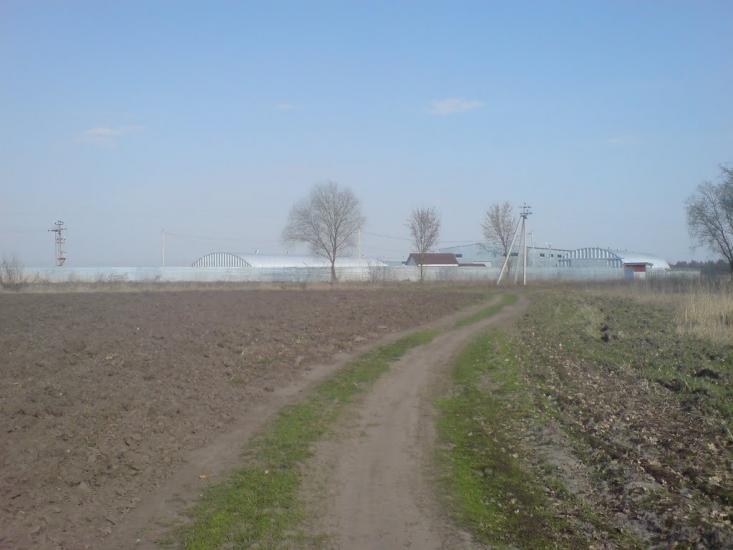 Новосілки з panoramio.com - Новосілки