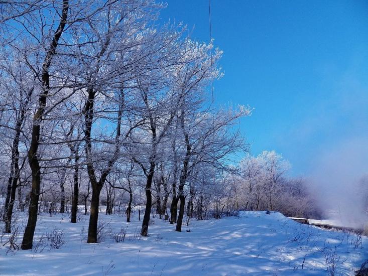 Ольховатка з panoramio.com - Olkhovatka
