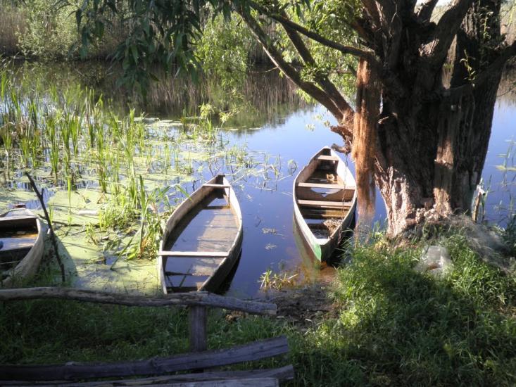 Піски-Удайські з panoramio.com - Пески-Удайские