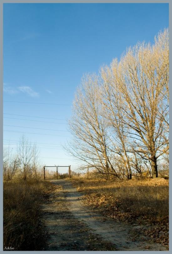 Червона Слобода з panoramio.com - Червона Слобода