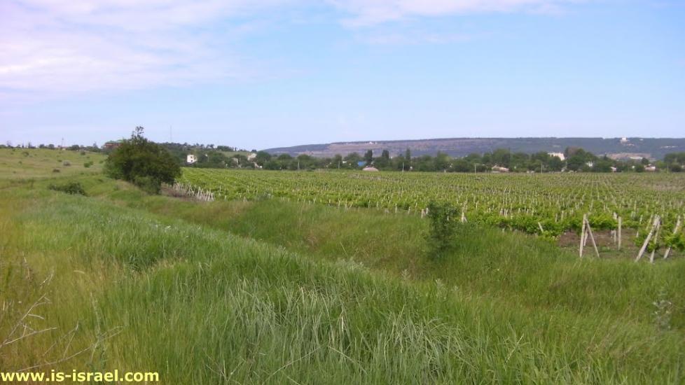 Інкерман з panoramio.com - Inkerman