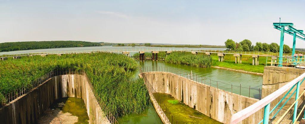 Вільшанське з panoramio.com - Вільшанське