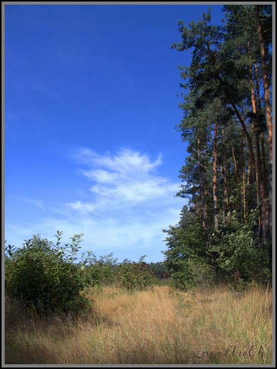 Коженики з panoramio.com - Коженики