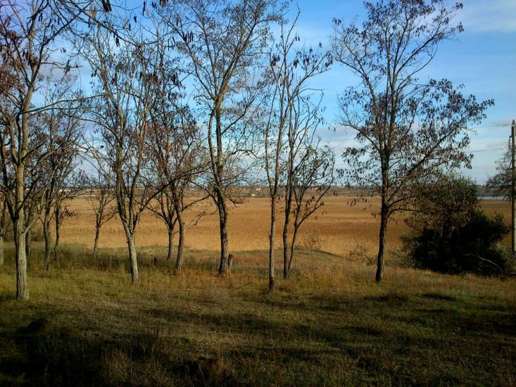 Суворове з panoramio.com - Суворово
