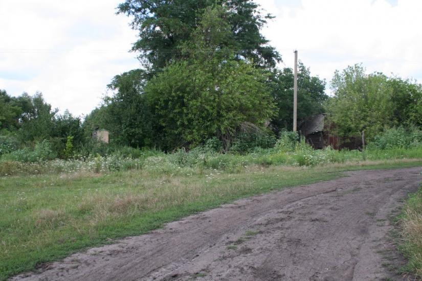 Плетений Ташлик з panoramio.com - Плетений Ташлик