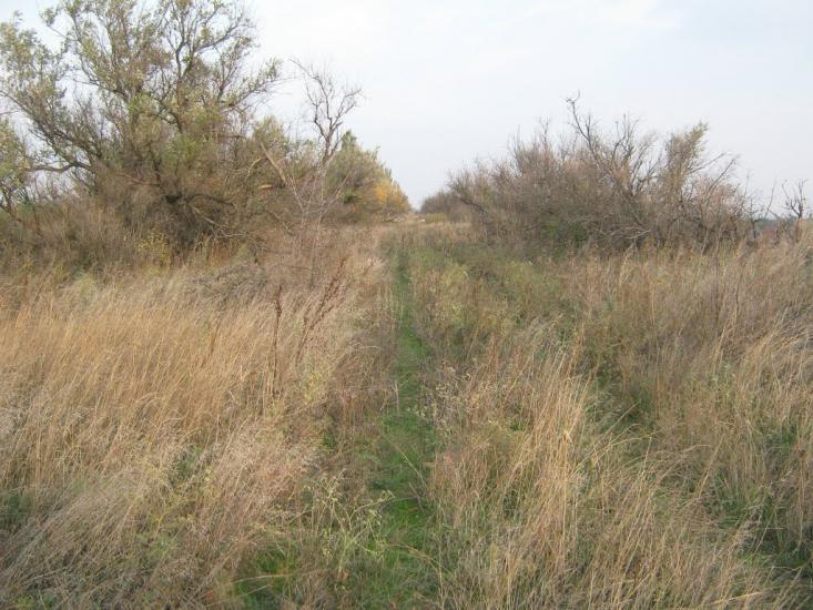 Старозаводське з panoramio.com - Старозаводское