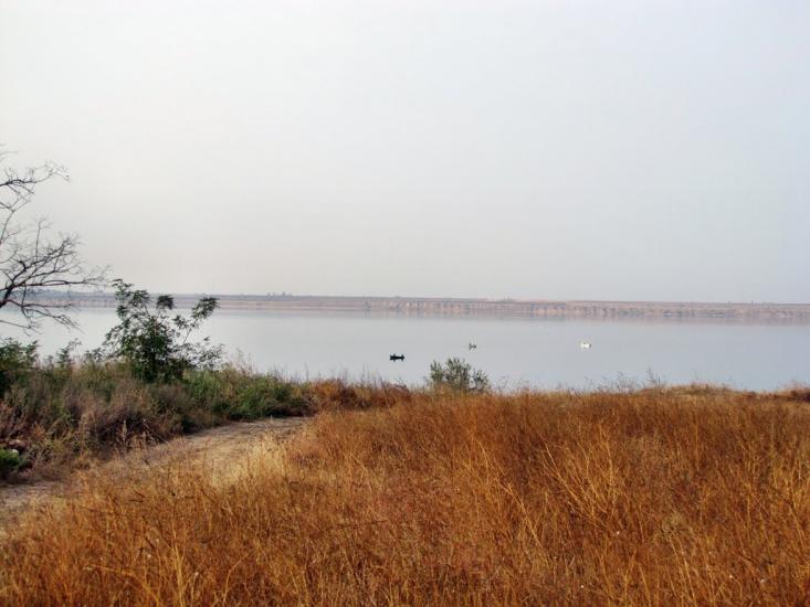 Осетрівка з panoramio.com - Осетрівка