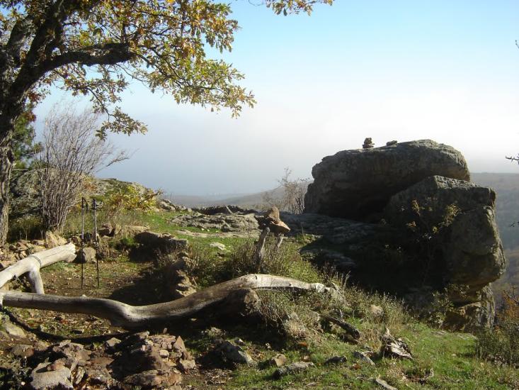 Виноградний з panoramio.com - Виноградний