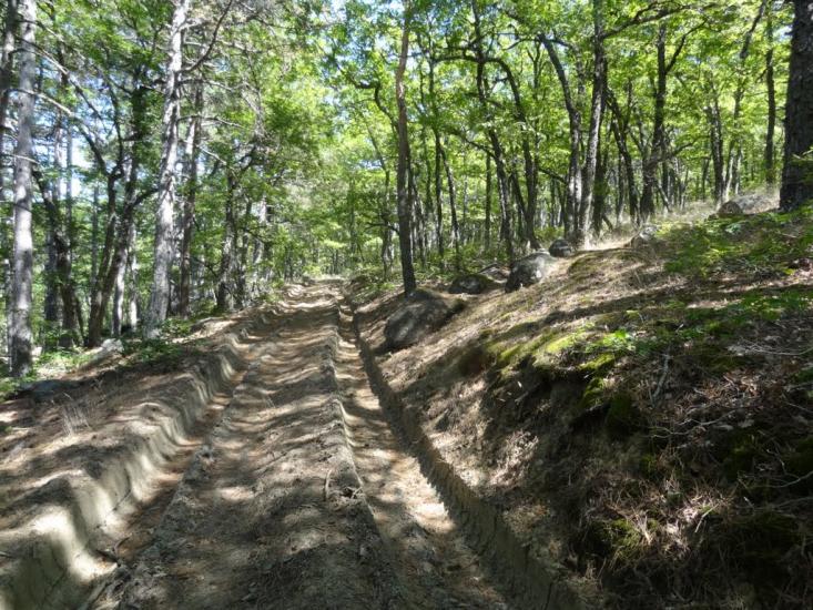 Виноградний з panoramio.com - Виноградний
