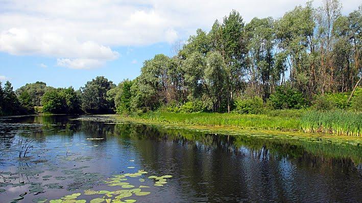 Малі Будища з panoramio.com - Mali Budyscha