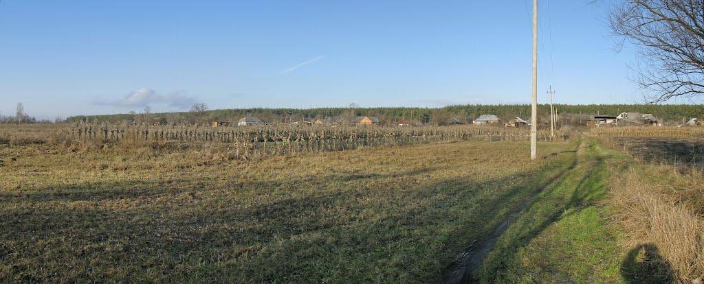 Бірки з panoramio.com - Бирки
