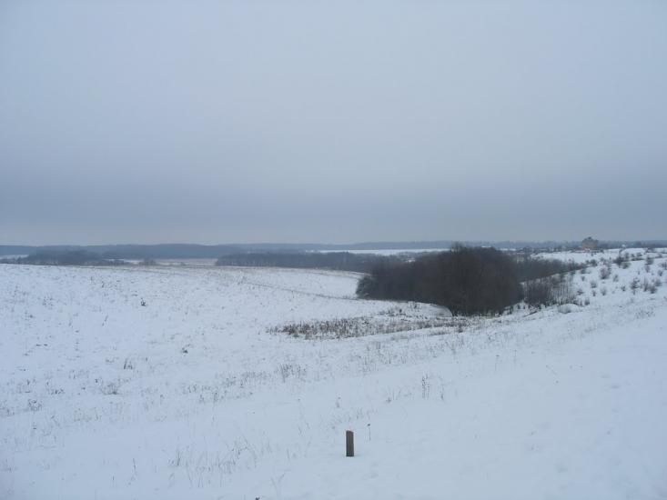 Зарванці з panoramio.com - Зарванцы