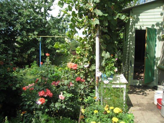 Великодолинське з panoramio.com - Великодолинське