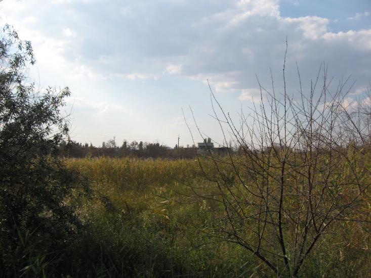 Морське з panoramio.com - Морское