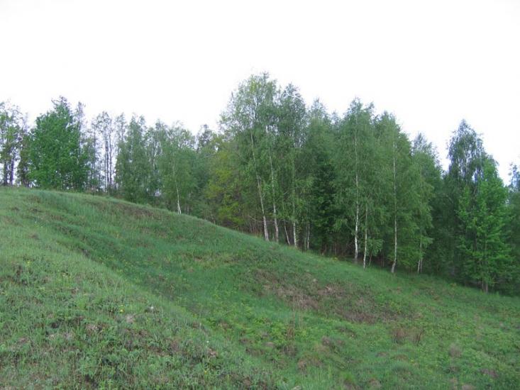 Великі Дмитровичі з panoramio.com - Великие Дмитровичи
