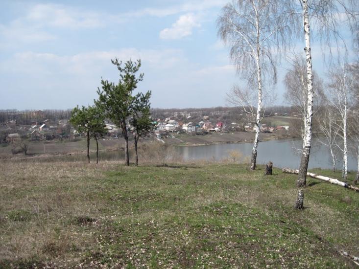 Сад з panoramio.com - Сад