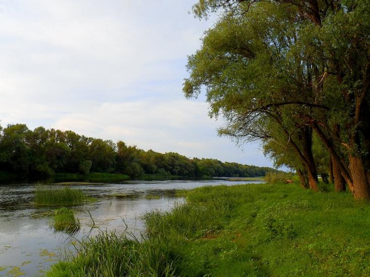 Жовте з panoramio.com - Желтое