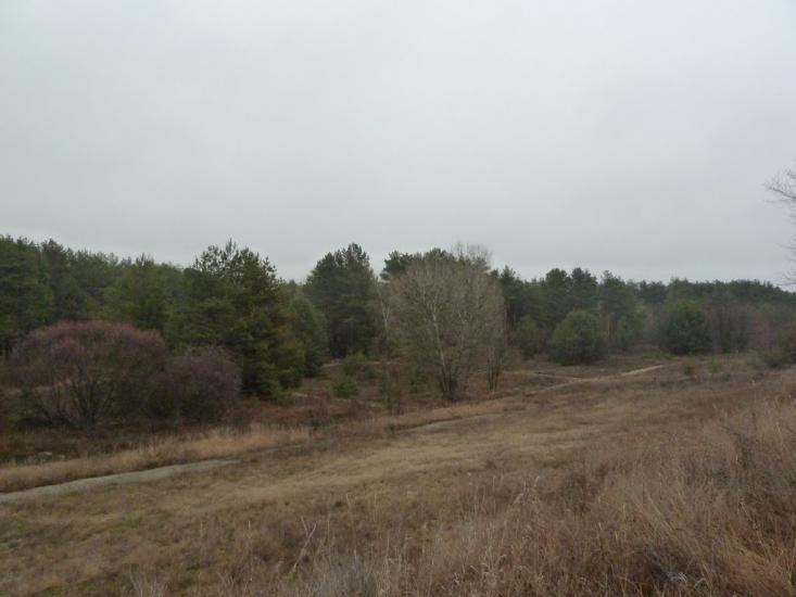 Куліші з panoramio.com - Куліші