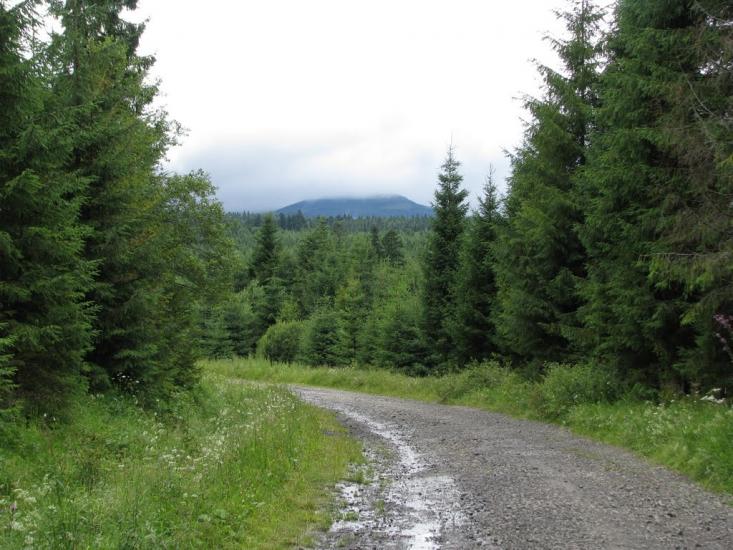 Біньова з panoramio.com - Біньова