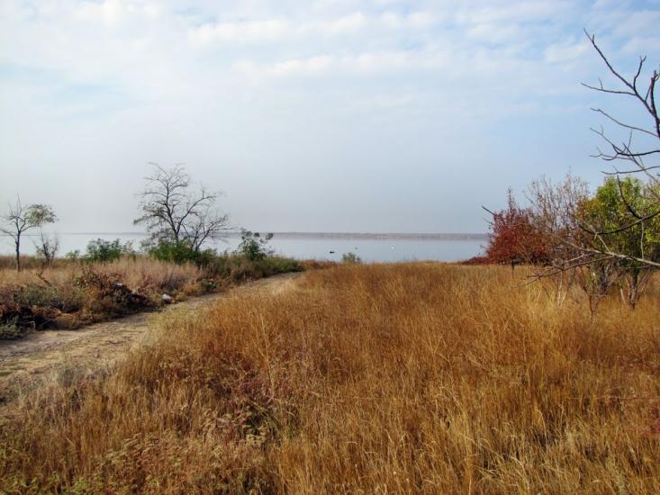 Осетрівка з panoramio.com - Осетрівка