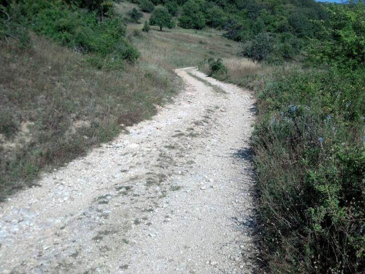 Орлине з panoramio.com - Orlyne