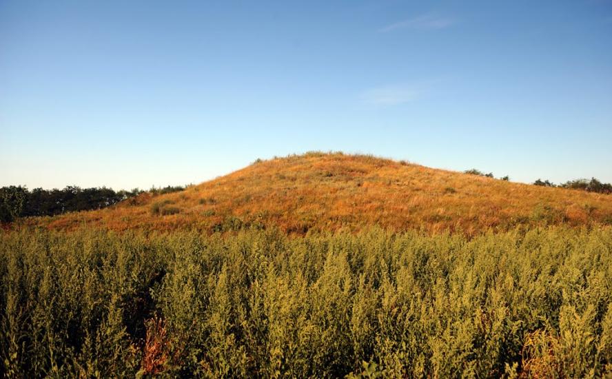 Дубовий Гай з panoramio.com - Дубовий Гай