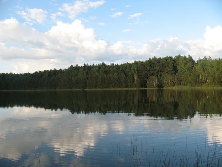 Піски-Річицькі з panoramio.com - Піски-Річицькі