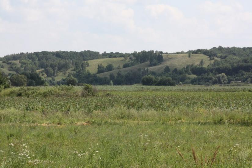 Піски-Удайські з panoramio.com - Пески-Удайские