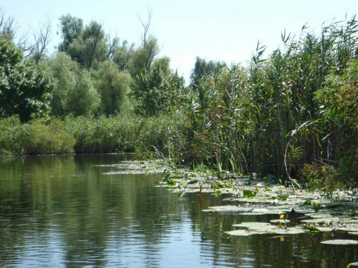 Козачі Лагері з panoramio.com - Козачие Лагеря