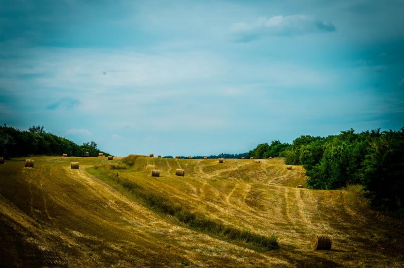 Саморідня з panoramio.com - Саморідня