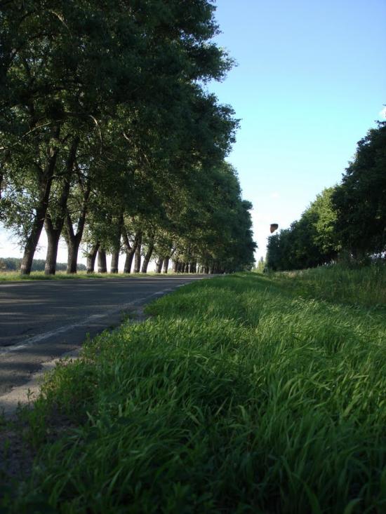 Фасова з panoramio.com - Фасова
