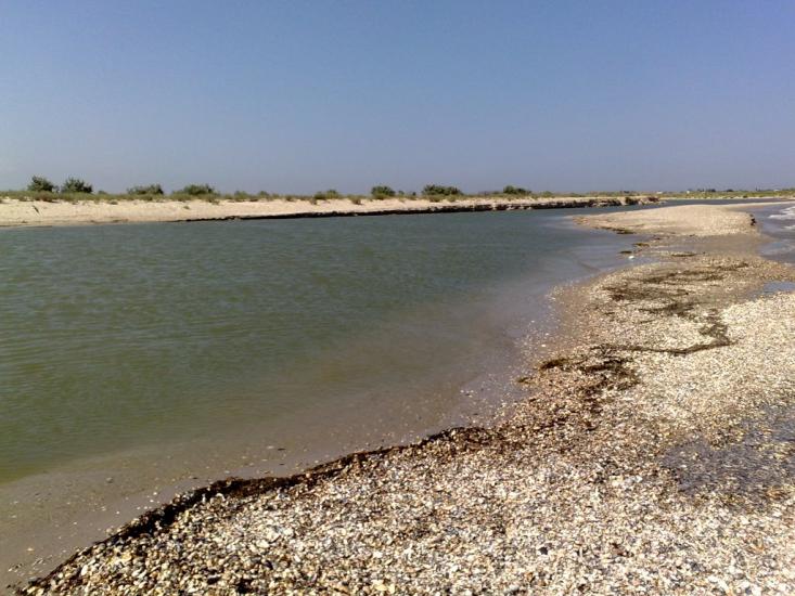 Лиман з panoramio.com - Лиман