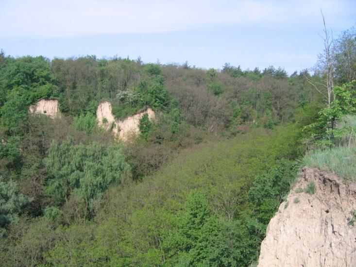 Великі Дмитровичі з panoramio.com - Великие Дмитровичи