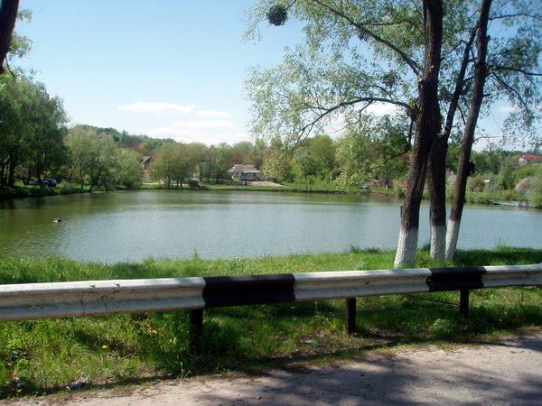 Великі Дмитровичі з panoramio.com - Великі Дмитровичі