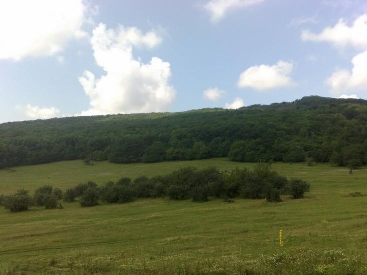 Краснолісся з panoramio.com - Краснолісся