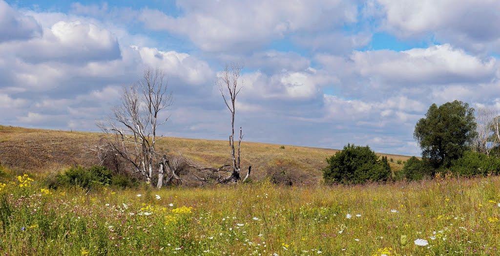 Нікішине з panoramio.com - Nikishyne