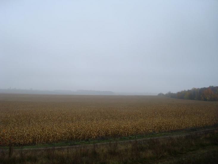 Вільхівці з panoramio.com - Вільхівці