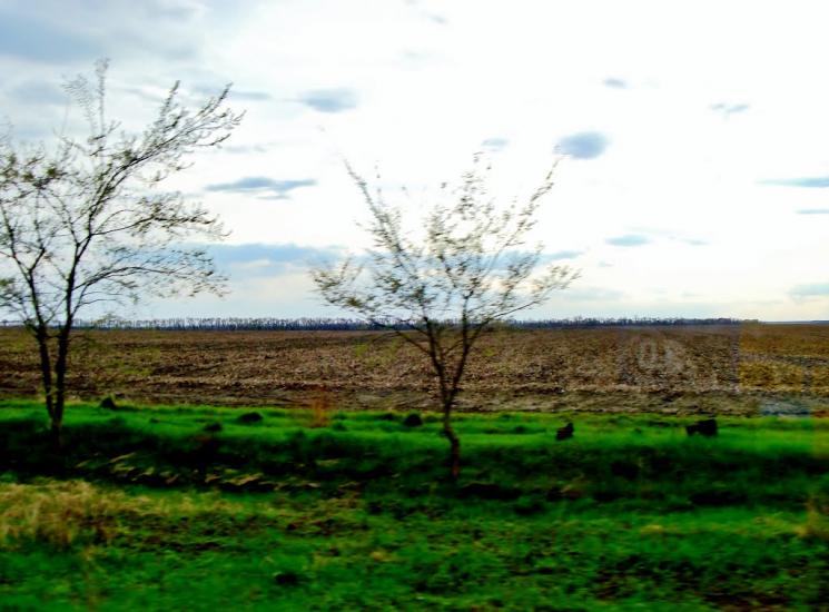 Салиха з panoramio.com - Салиха