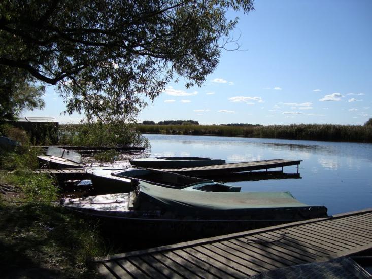 Сорокошичі з panoramio.com - Сорокошичи