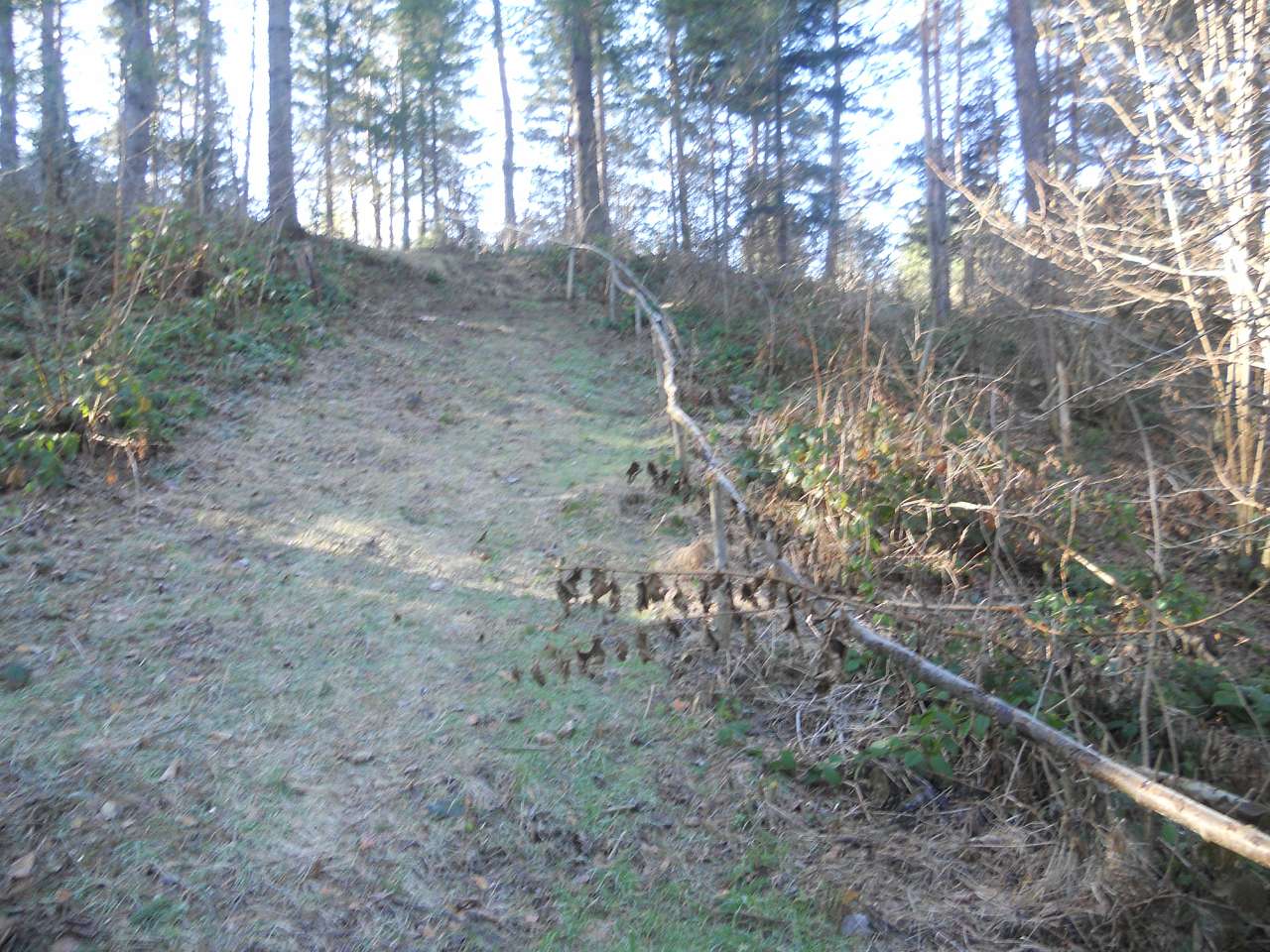 природа - Опака