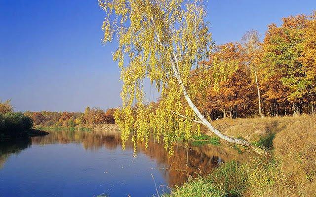 Закітне з panoramio.com - Закотное