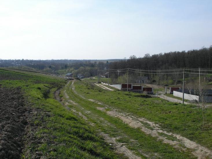 Зарванці з panoramio.com - Зарванцы