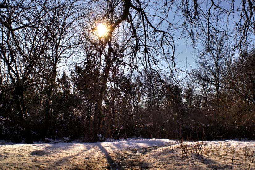 Багерове з panoramio.com - Багерове