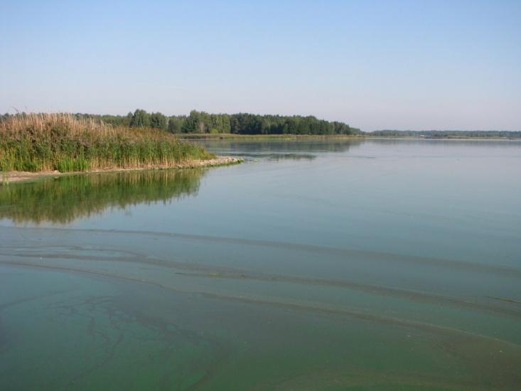 Ліпляве з panoramio.com - Лепляво